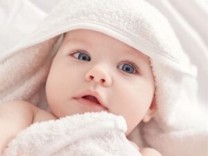 Puree Perfection: A Parent’s Guide to Choosing the Best Baby Food Processor